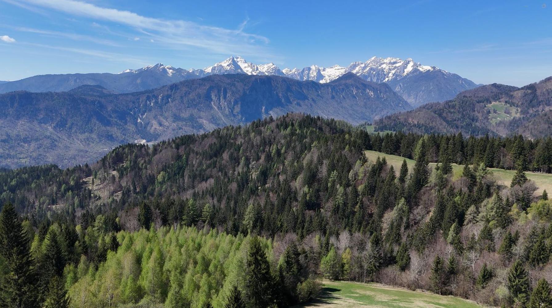 Span Cottage Jesenice Dış mekan fotoğraf